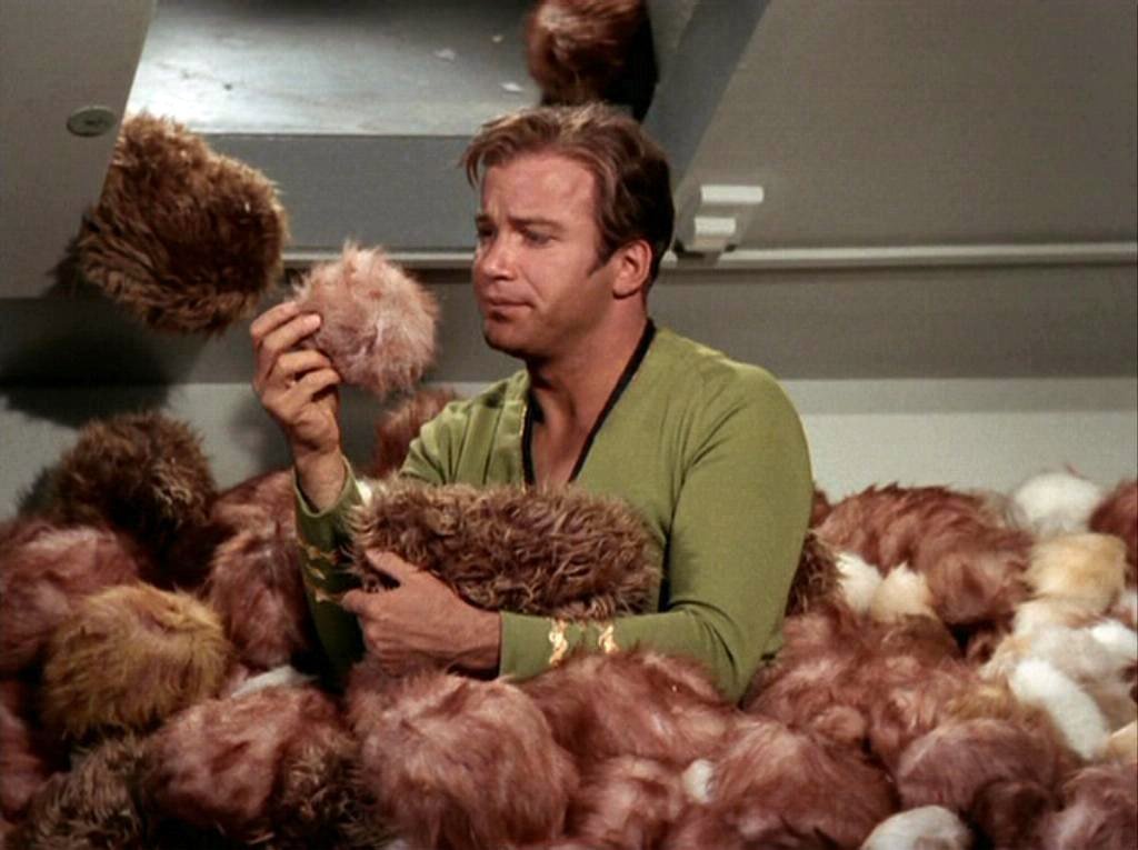 The Trouble with Tribbles 50 years ago this week